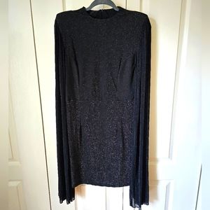 Cape Sleeve sparkle dress, size